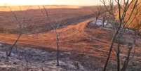 Zona rual de Morro Agudo sofreu com incêndio  Foto:  Reprodução/Prefeitura de Morro Agudo