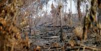 Área queimada em 2020 perto de Apuí, no Estado do Amazonas  Foto: Reuters / BBC News Brasil