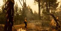 Bombeiros combatem chamas de incêndio florestal na Califórnia
31/08/2021
REUTERS/Aude Guerrucci  Foto: Reuters