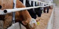 REUTERS/Todd Korol Foto: Reuters