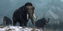 Para cientistas, mamutes tinham papel de manter pastagens e fertilizar o solo  Foto: Getty Images / BBC News Brasil