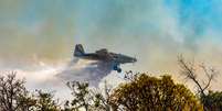 Incêndio em Goiás já consumiu mais de 18 mil hectares  Foto: Albery Santini / Futura Press