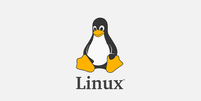 O sistema Linux apresenta muitos jogos atuais   Foto: Linux/Divulgação / Tecnoblog