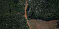 Vista aérea de região desmatada da Amazônia em Rondônia
28/09/2021 REUTERS/Adriano Machado  Foto: Reuters