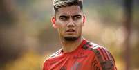 Andreas Pereira soma 13 jogos, três gols e uma assistência pelo Flamengo (Foto: Alexandre Vidal / Flamengo)  Foto: Lance!