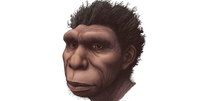 Ilustração do Homo bodoensis  Foto: ETTORE MAZZA / BBC News Brasil