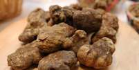 It&aacute;lia candidata 'ca&ccedil;a &agrave;s trufas' a Patrim&ocirc;nio da Unesco  Foto: ANSA / Ansa - Brasil