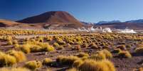 Uma equipe de pesquisadores acredita ter encontrado a chave para a incrível resistência e adaptabilidade das plantas que sobrevivem às condições extremas do Atacama  Foto: Getty / BBC News Brasil