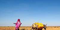 Seca na Somália  Foto: Pnud - ONU News