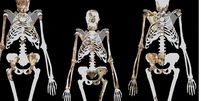 Lucy (ao centro) e dois indivíduos da espécie Australopithecus sediba, um ancestral dos humanos modernos de 2 milhões de anos atrás  Foto: Wikimedia Commons / BBC News Brasil