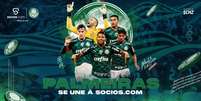 Palmeiras anuncia criptomoeda para fãs   Foto: Divulgação/ Palmeiras / Tecnoblog