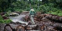 O Ibama apreendeu toneladas de madeira ilegal na terra indígena de Pirititi em 2018  Foto: Ibama / BBC News Brasil