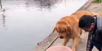 Cão derruba bacia com peixes e impede homem de resgatar animais de rio    Foto: Instagram/@beautiful_pix4 / Estadão