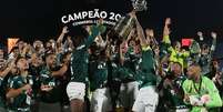 Palmeiras foi o último campeão da Libertadores e vai disputar o Mundial no ano que vem  Foto: Cesar Greco / Palmeiras