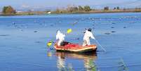 Resgate de grous mortos no Lago Hula, no norte de Israel  Foto: Israel Nature and Parks Authority / BBC News Brasil