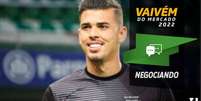Ivan deve ser anunciado em breve como novo goleiro do Corinthians (Foto: Divulgação/Ponte Preta)  Foto: Lance!