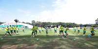 Jogadores do Palmeiras treinam na manhã desta sexta, na Academia de Futebol (Foto: Cesar Grecco/Palmeiras)  Foto: Lance!