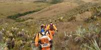 Corpo de Bombeiros combate incêndio no Parque Nacional da Serra da Canastra, em Minas Gerais, em 2020. Governo federal quer conceder área à iniciativa privada  Foto: Divulgação/Corpo de Bombeiros Militar do Estado de MG / Estadão