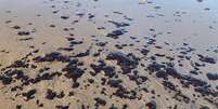 Manchas de óleo voltam a se espalhar por praias do Ceará  Foto: Rivelino Cavalcante/ Instituto de Ciências do Mar / UFC - 8-02-2022