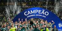 Palmeiras vai em busca de mais um título da Libertadores  Foto: Vinicius Nunes/Agência F8/ / Gazeta Press