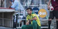 Abel Ferreira está preocupado com a violência no futebol   Foto: Anderson Lira/FramePhoto / Estadão