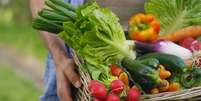 Como economizar na hora de comprar verduras – Foto: Shutterstock  Foto: Guia da Cozinha