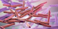 A hanseníase é causada pelo bacilo Mycobacterium leprae  Foto: Getty Images / BBC News Brasil