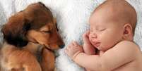 Cachorro e bebê podem ter uma relação de companheirismo e sem ciúme  Foto: Shutterstock / Alto Astral