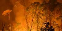 Brasil &eacute; o 4&deg; no ranking de queimadas na Am&eacute;rica do Sul (Foto: gettyimages)  Foto: Climatempo