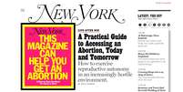  Publicação visa criticar retrocesso de diversos estados nos EUA em relação ao aborto  Foto: Reprodução New York Magazine
