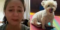 Guta Stresser chora por morte da cachorrinha  Foto: Instagram/ @gutastresser / Estadão