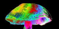 Pesquisadores, incluindo brasileiros, v&ecirc;m investigando como tratar depress&atilde;o e depend&ecirc;ncia qu&iacute;mica com drogas alucin&oacute;genas  Foto: Science Photo Library / BBC News Brasil