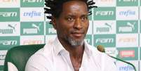 Z&eacute; Roberto defendeu a Sele&ccedil;&atilde;o e grandes clubes do mundo (Ag&ecirc;ncia Palmeiras/Divulga&ccedil;&atilde;o)  Foto: Lance!