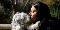 Nova legislação pode ter implicações drásticas para posse de animais de estimação no Irã  Foto: Getty Images / BBC News Brasil