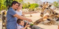 Uma ida ao zoológico é perfeita para as crianças que amam os animais  Foto: Shutterstock / Alto Astral