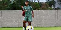 Alan vinha treinando com o grupo do Fluminense, mas sofreu um problema físico (Foto: Mailson Santana/Fluminense FC)  Foto: Lance!