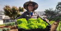 Entre os projetos mais conhecidos da ONG Cidades sem Fome estão as hortas urbanas   Foto: Cidades sem Fome / Divulgação