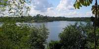 O pesquisador analisou o material orgânico de 13 lagos da Amazônia  Foto: Divulgação / BBC News Brasil