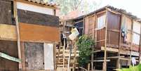 Sobre palafitas improvisadas, moradores da favela das Travinhas temem a força do córrego que corta o local @Gabriel Finamore/Arquivo pessoal  Foto: Agência Mural