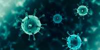Khosta 2 é semelhante ao coronavírus  Foto: Shutterstock / Saúde em Dia
