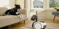 Astro, o robô da Amazon, agora interage com cães e gatos   Foto: Divulgação / Amazon / Tecnoblog