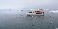 Incapaz de atravessar o gelo marinho com trenós, Kaleeraq Mathaeussen agora só pesca de barco  Foto: BBC News Brasil