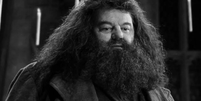 Hagrid robbie coltrane  Foto: Divulgação/Warner Bro. / Famosos e Celebridades