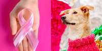 Outubro rosa pets câncer de mama  Foto: Shutterstock / Alto Astral