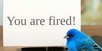 Twitter fired  Foto: Canva / Startups