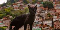 Moradores de favelas do Rio e de Salvador expõem no podcast Brasil Partido grande frustração com políticas de segurança adotadas por governos de direita e de esquerda.  Foto: Getty Images / BBC News Brasil