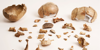 Restos de esqueleto humano encontrados na Caverna de Kendrick   Foto: Divulgação / Trustees of the Natural History Museum