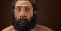Cientista defende que acasalamento entre Homo sapiens e neandertais pode ter levado à extinção do segundo grupo  Foto: John Gurche/Chip Clark / Wikimedia Commons