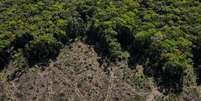 Taxa de desmatamento da Amazônia cresceu 73% durante os três primeiros anos do governo Bolsonaro  Foto: Reuters / BBC News Brasil