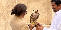 O Falcon Souq Qatar é o espaço especializado para cuidar dos falcões  Foto: Aline Küller/Terra